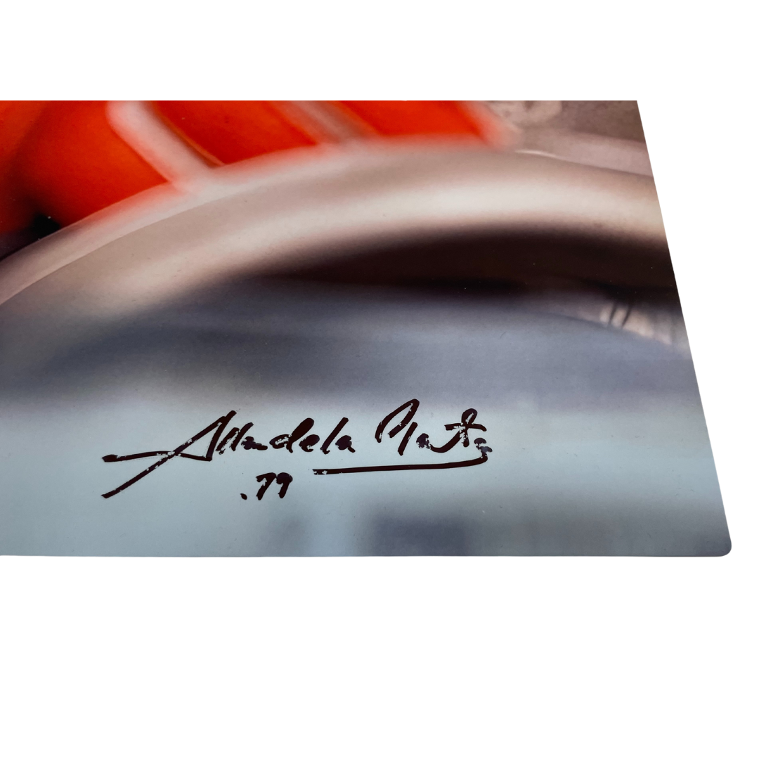 Gilles Villeneuve "EYES" Hanging Wall Metallic Plaque by Allan de la Plante - Memorabilia - multicolor