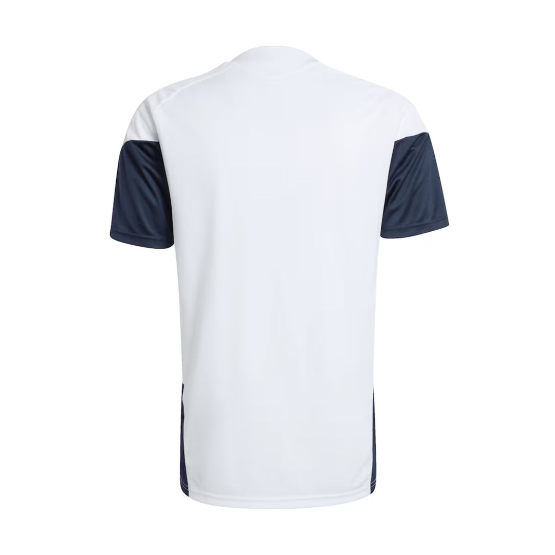 Adidas Argentina 2026 World Cup Training Jersey - Official Product