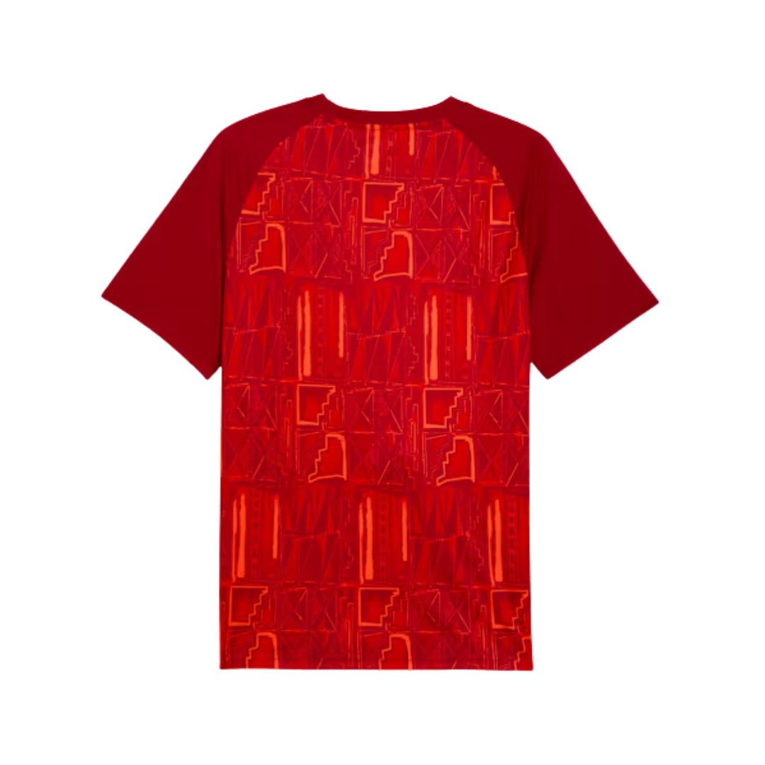 Puma Ghana World Cup Jersey - Red
