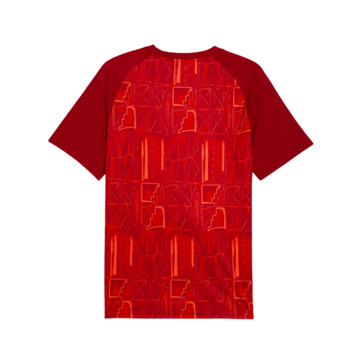 Puma Ghana World Cup Jersey - Red