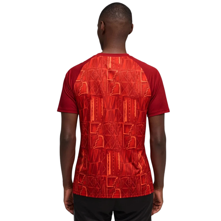 Puma Ghana World Cup Jersey - Red