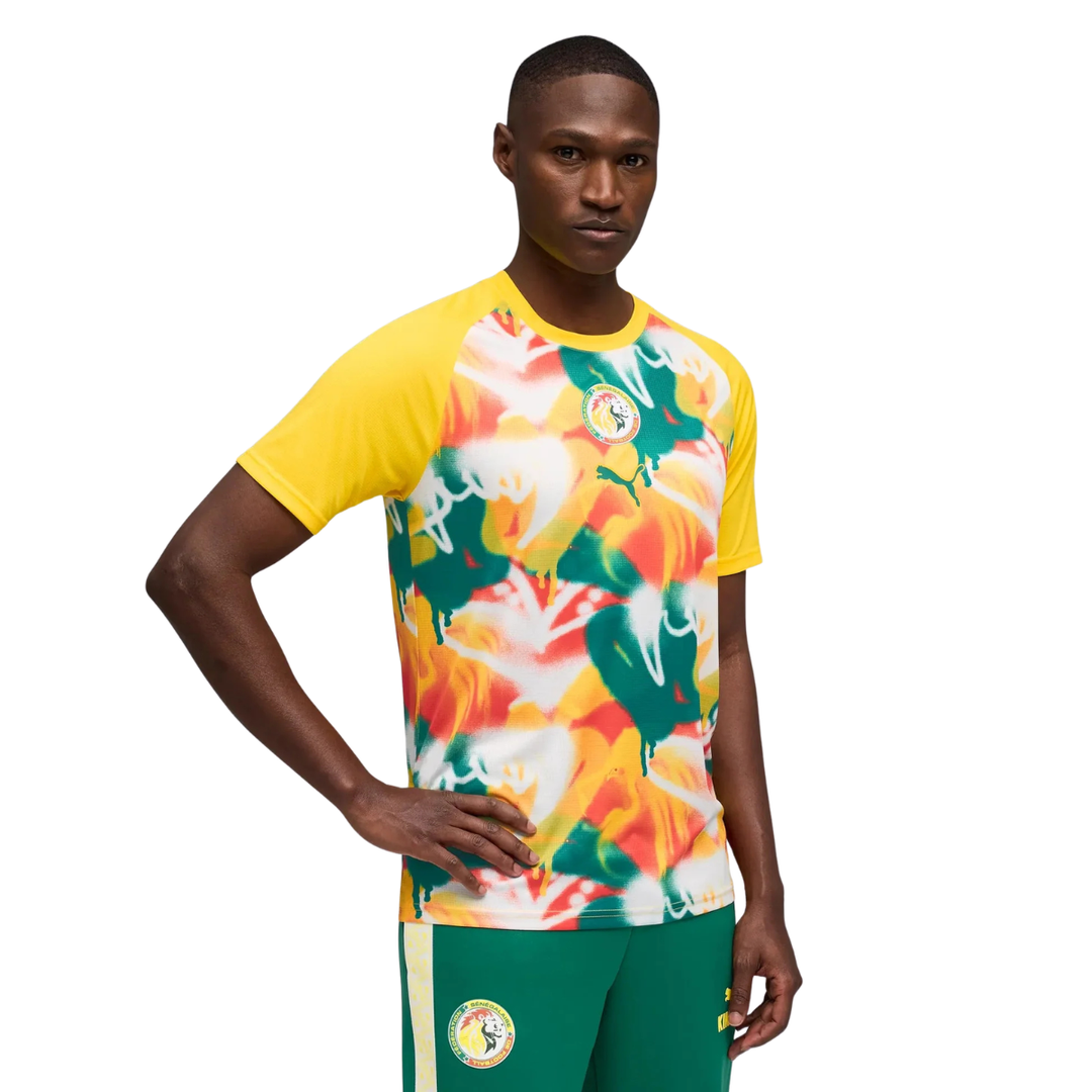 Puma Senegal World Cup Jersey