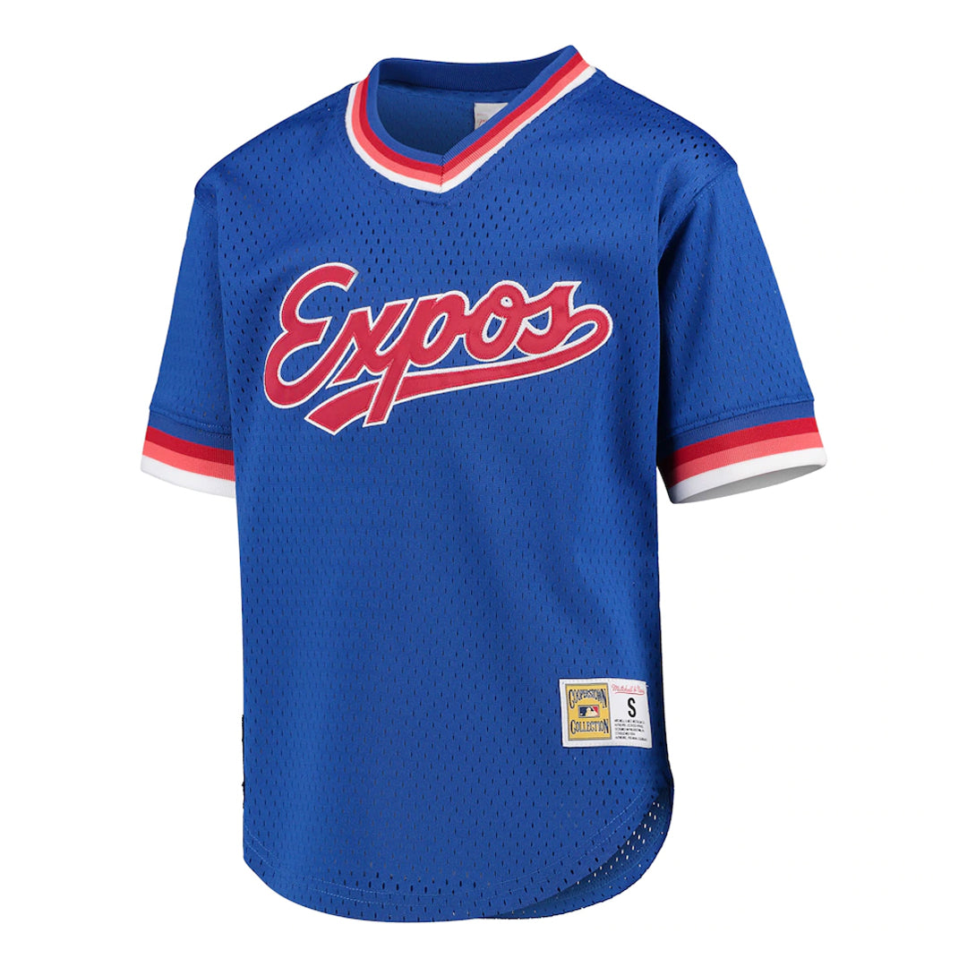 Mitchell and Ness Cooperstown Montreal Expos Kids Junior MLB Baseball Jersey Blue 